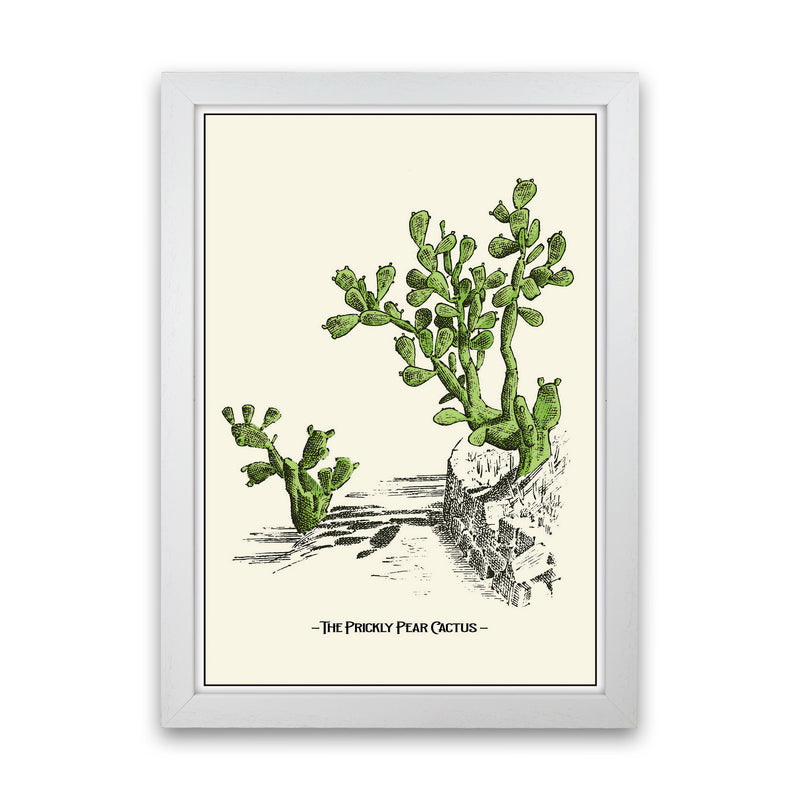 The Prickly Pear Cactus Art Print by Jason Stanley White Grain