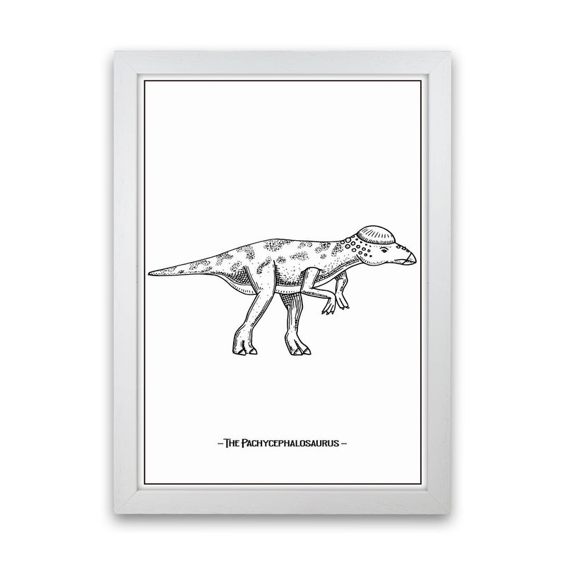 The Pachycephalosaurus Art Print by Jason Stanley White Grain