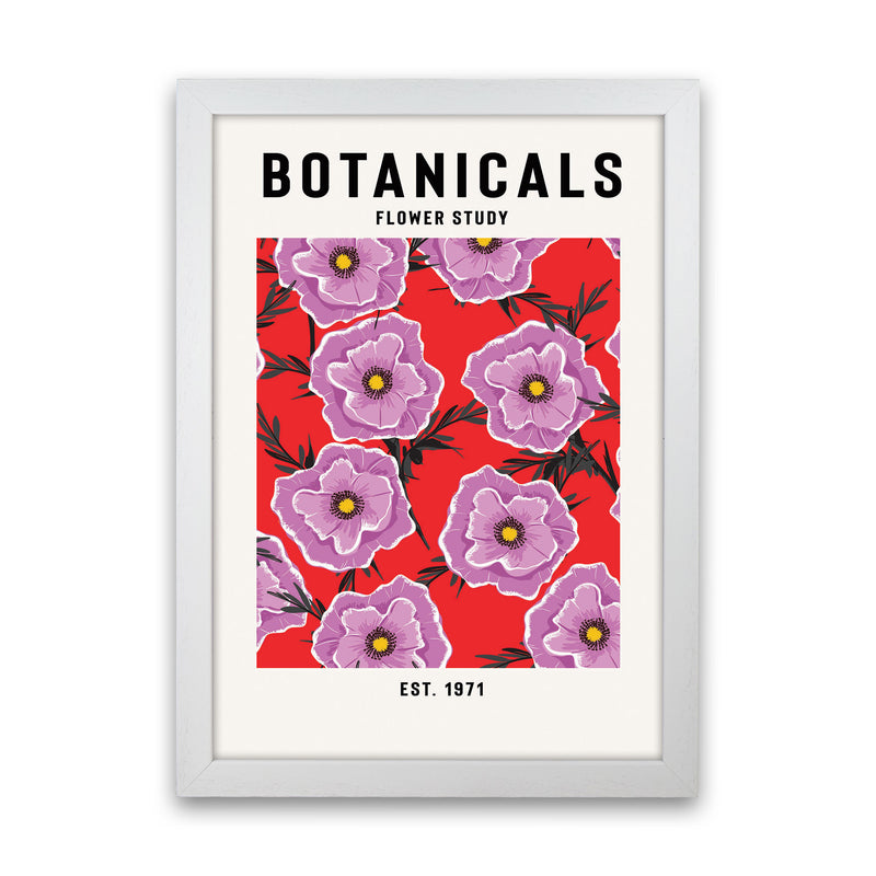 Botanicals Flower Study Art Print by Jason Stanley White Grain