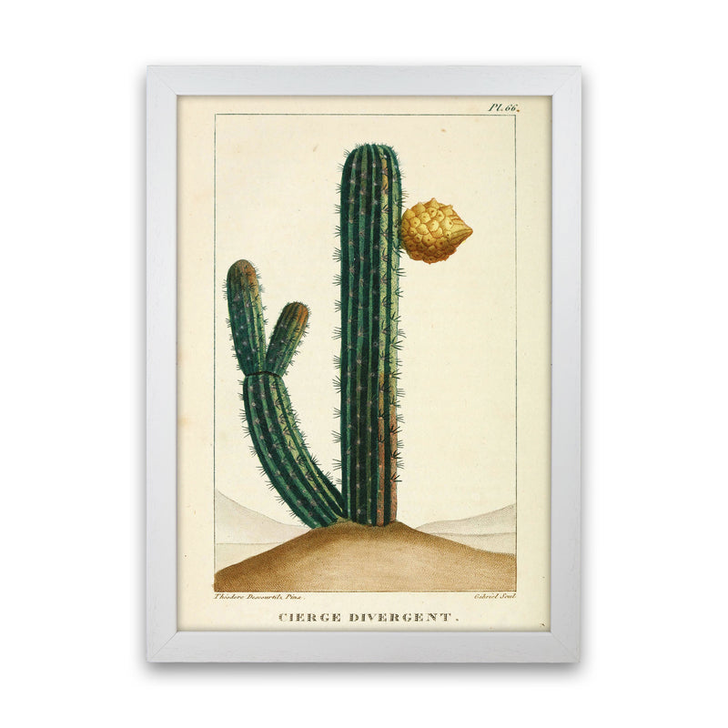 Vintage Cactus Art Print by Jason Stanley White Grain