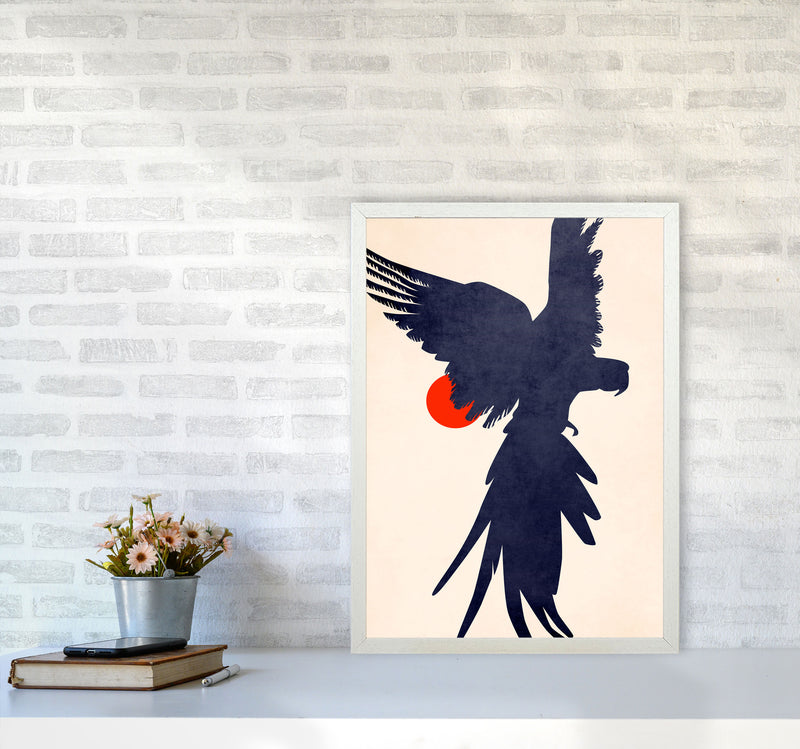 Parrot Art Print by Kubistika A2 Oak Frame