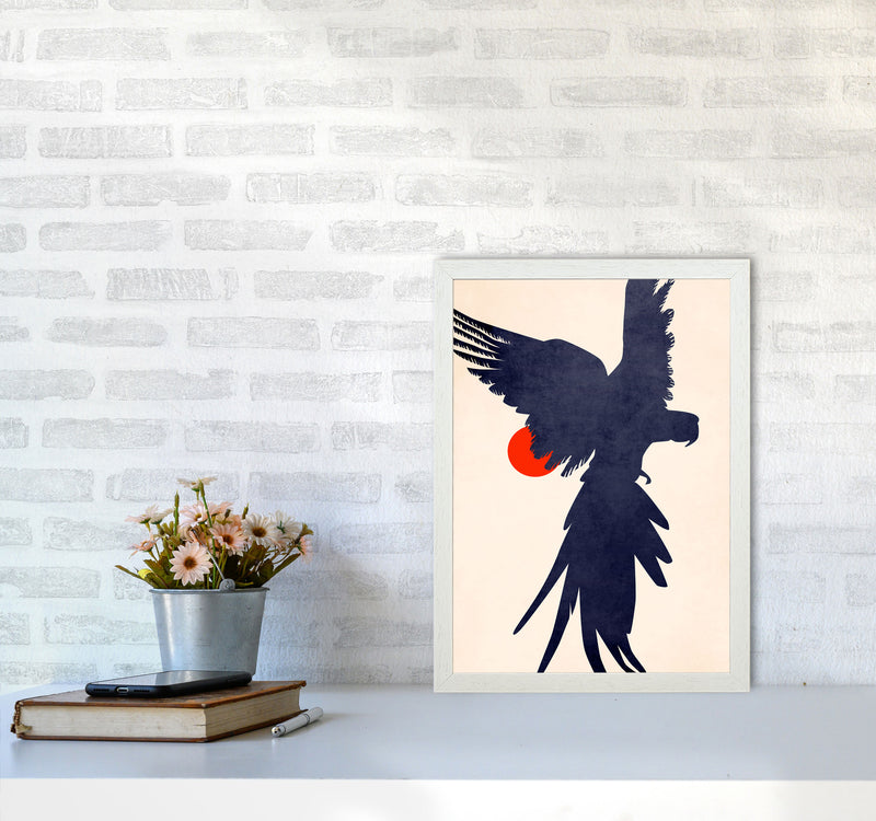 Parrot Art Print by Kubistika A3 Oak Frame