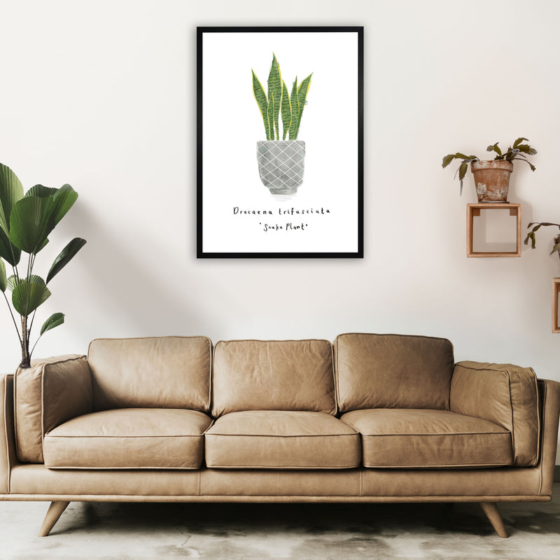 Snake Plant  Art Print by Laura Irwin A1 White Frame