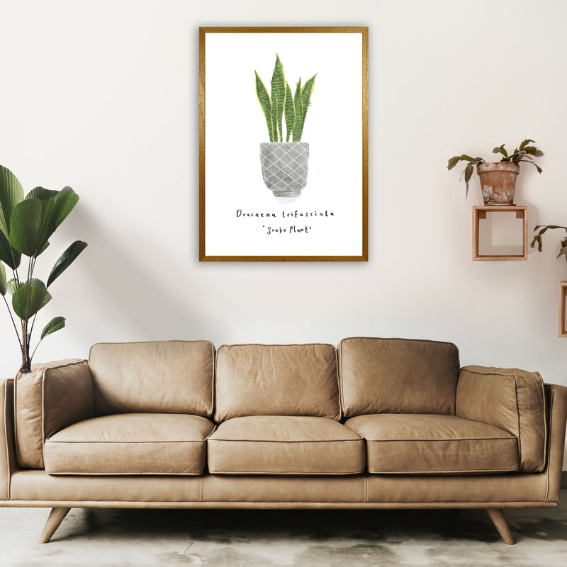 Snake Plant  Art Print by Laura Irwin A1 Print Only