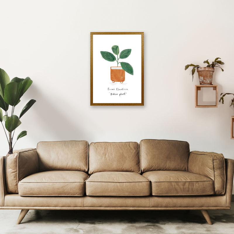 Rubber Plant  Art Print by Laura Irwin A2 Print Only