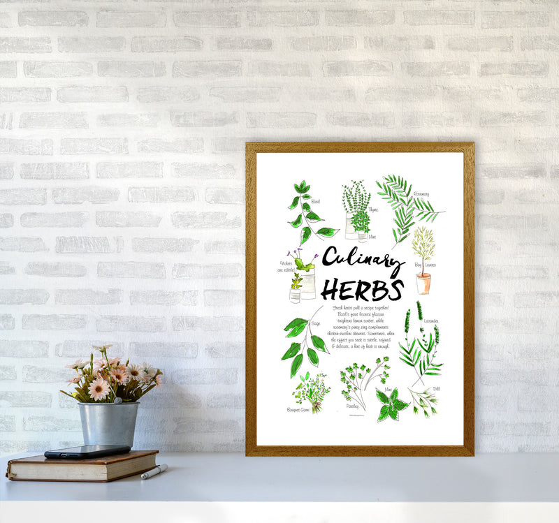 Culinary Herbs, Kitchen Food & Drink Art Prints A2 Print Only