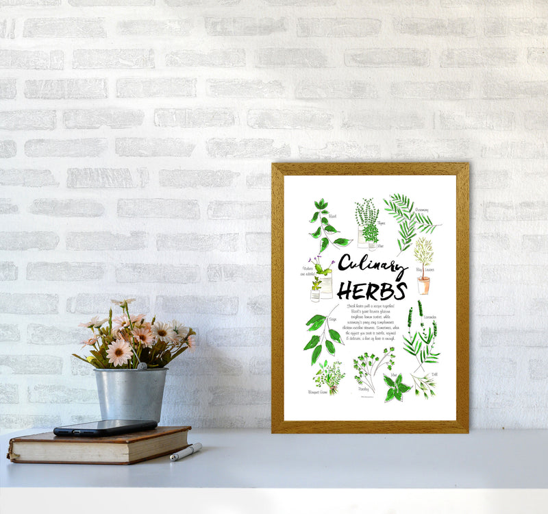 Culinary Herbs, Kitchen Food & Drink Art Prints A3 Print Only