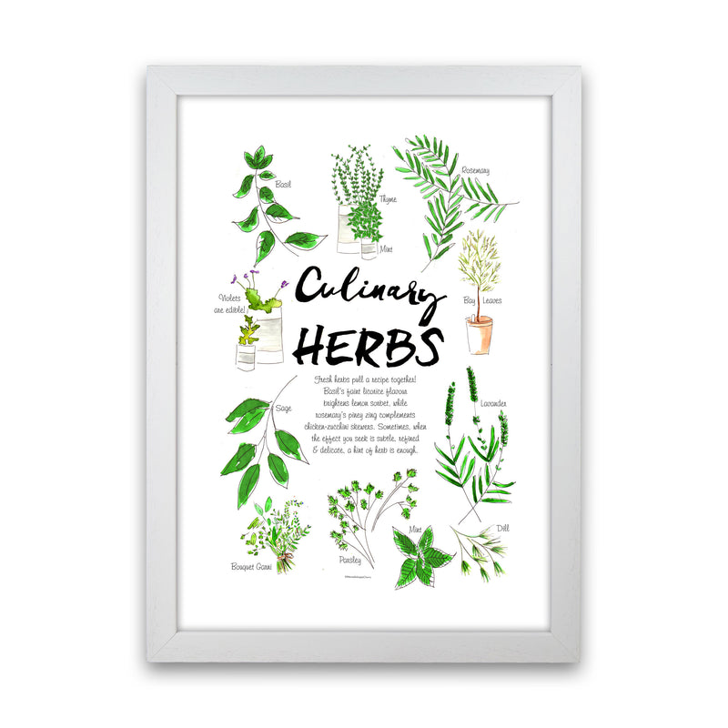 Culinary Herbs, Kitchen Food & Drink Art Prints White Grain