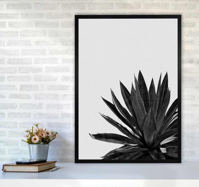 Agave Cactus Black And White Print By Orara Studio, Framed Botanical Nature Art A1 White Frame