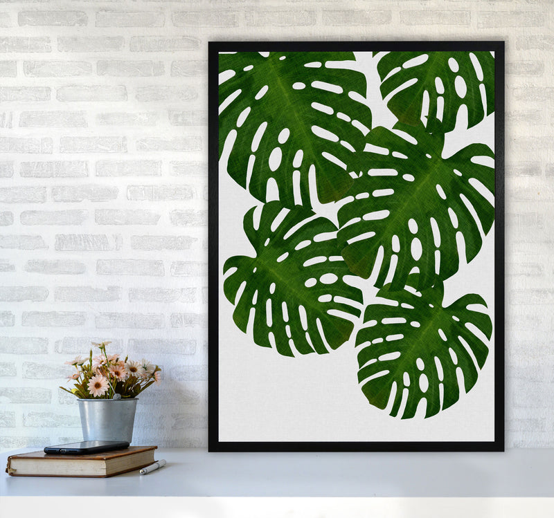 Monstera Leaf I Print By Orara Studio, Framed Botanical & Nature Art Print A1 White Frame
