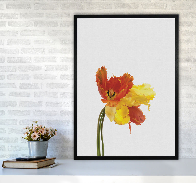 Tulip Still Life Print By Orara Studio, Framed Botanical & Nature Art Print A1 White Frame