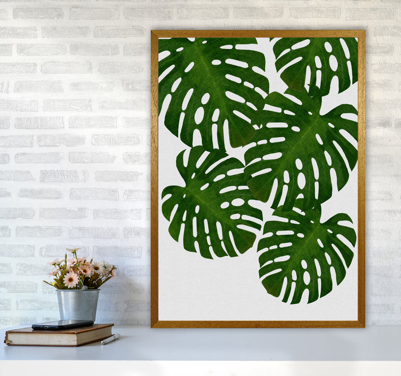 Monstera Leaf I Print By Orara Studio, Framed Botanical & Nature Art Print A1 Print Only