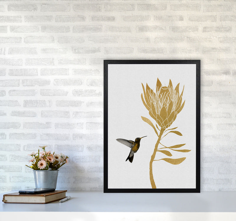 Hummingbird & Flower I Print By Orara Studio A2 White Frame