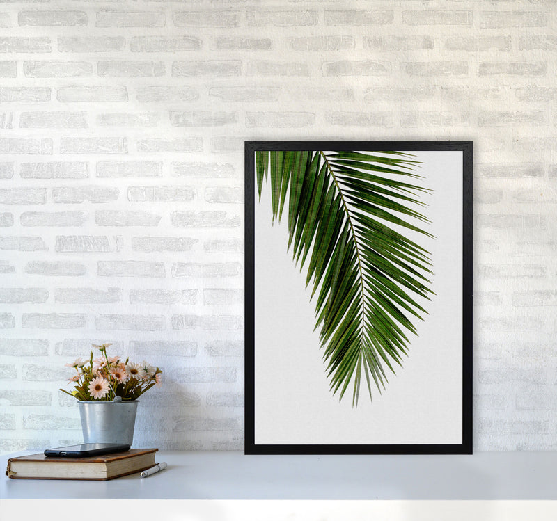 Palm Leaf I Print By Orara Studio, Framed Botanical & Nature Art Print A2 White Frame