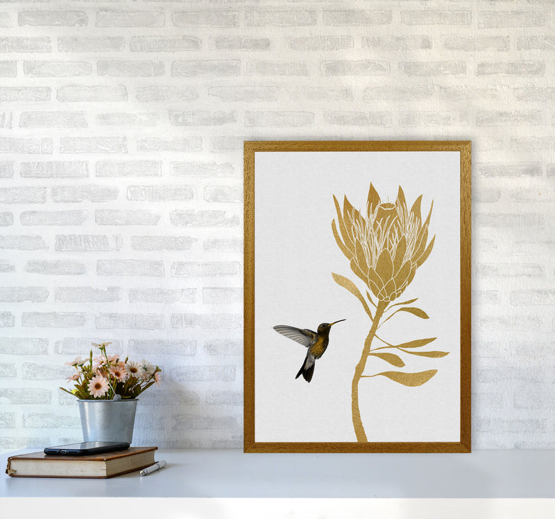 Hummingbird & Flower I Print By Orara Studio A2 Print Only