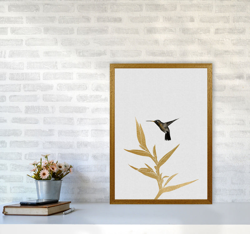 Hummingbird & Flower II Print By Orara Studio A2 Print Only