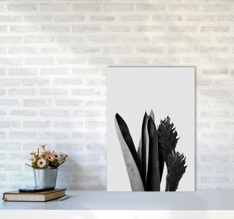 Flower Black & White Print By Orara Studio A2 Black Frame