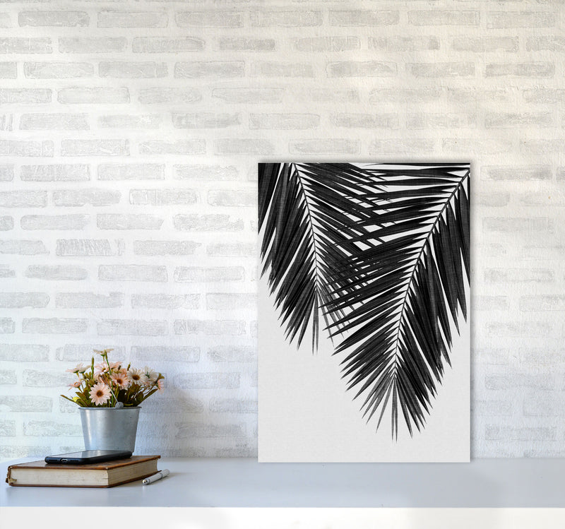 Palm Leaf Black & White II Print By Orara Studio A2 Black Frame