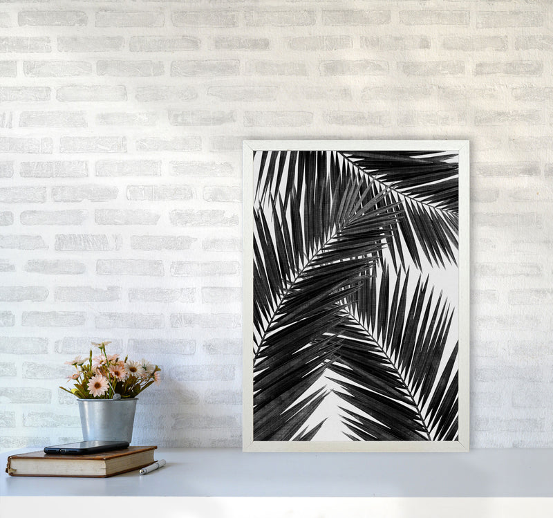 Palm Leaf Black & White III Print By Orara Studio A2 Oak Frame