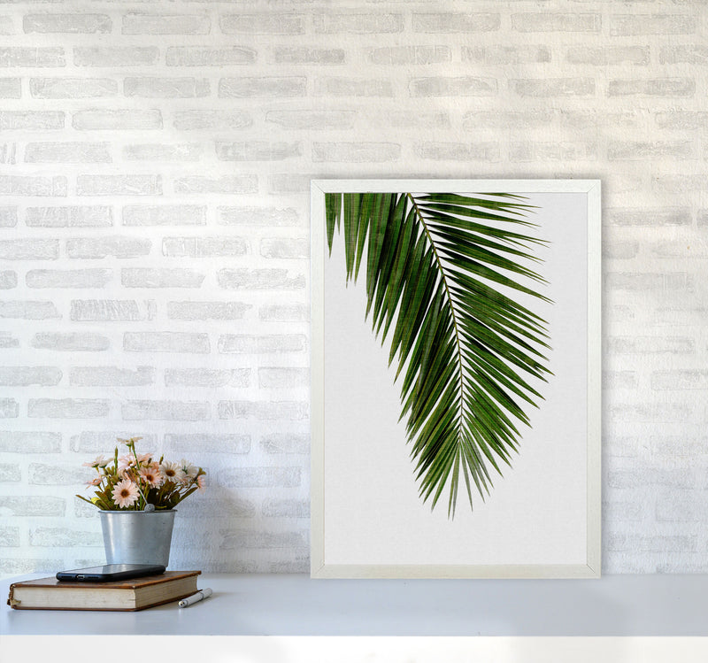 Palm Leaf I Print By Orara Studio, Framed Botanical & Nature Art Print A2 Oak Frame