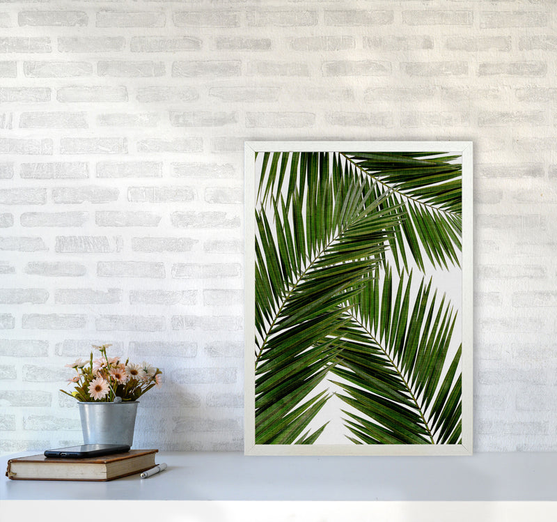 Palm Leaf III Print By Orara Studio, Framed Botanical & Nature Art Print A2 Oak Frame