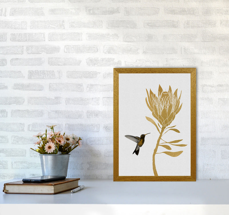 Hummingbird & Flower I Print By Orara Studio A3 Print Only