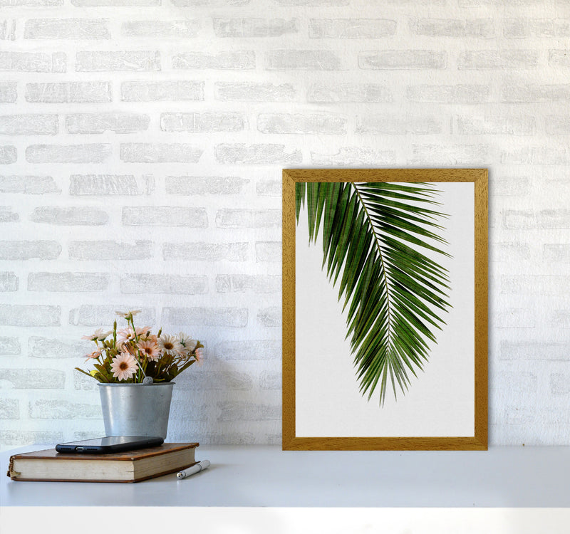 Palm Leaf I Print By Orara Studio, Framed Botanical & Nature Art Print A3 Print Only