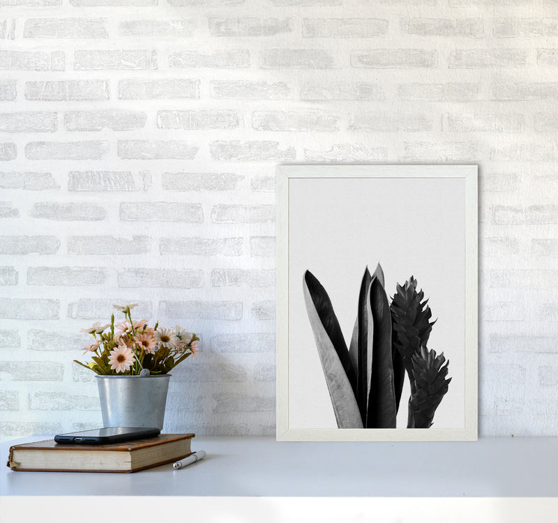 Flower Black & White Print By Orara Studio A3 Oak Frame