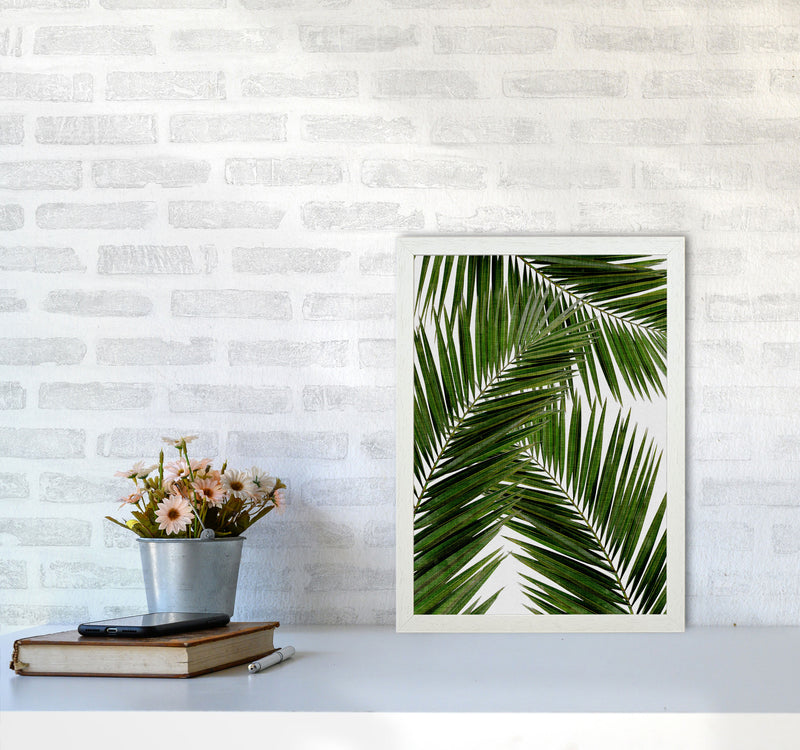 Palm Leaf III Print By Orara Studio, Framed Botanical & Nature Art Print A3 Oak Frame