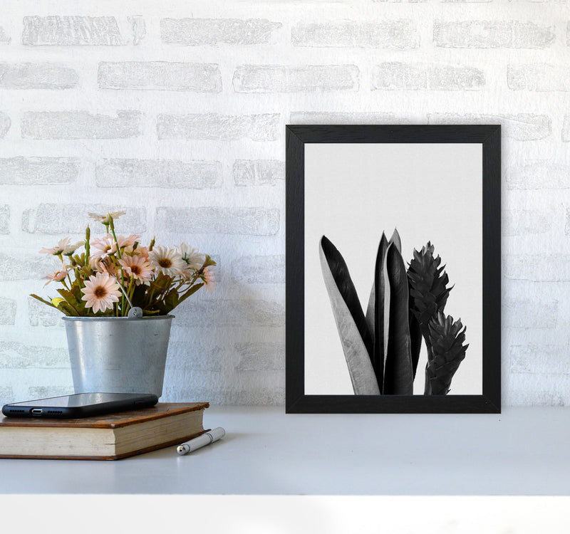 Flower Black & White Print By Orara Studio A4 White Frame