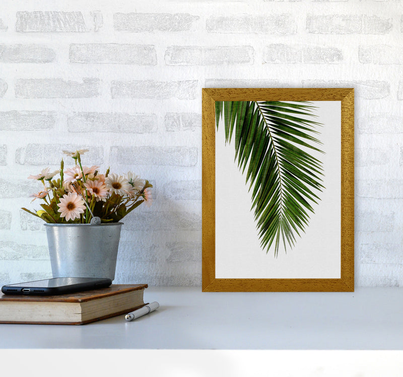 Palm Leaf I Print By Orara Studio, Framed Botanical & Nature Art Print A4 Print Only
