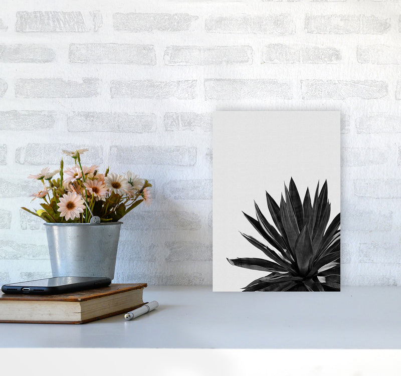 Agave Cactus Black And White Print By Orara Studio, Framed Botanical Nature Art A4 Black Frame