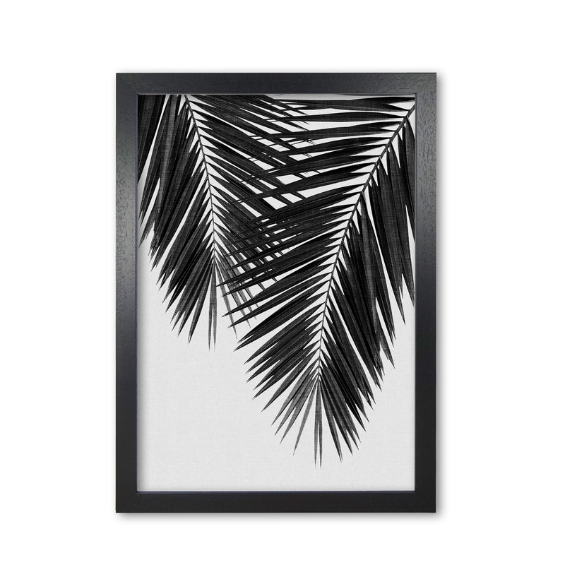 Palm Leaf Black & White II Print By Orara Studio Black Grain