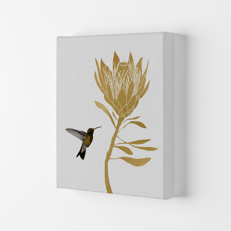 Hummingbird & Flower I Print By Orara Studio Canvas