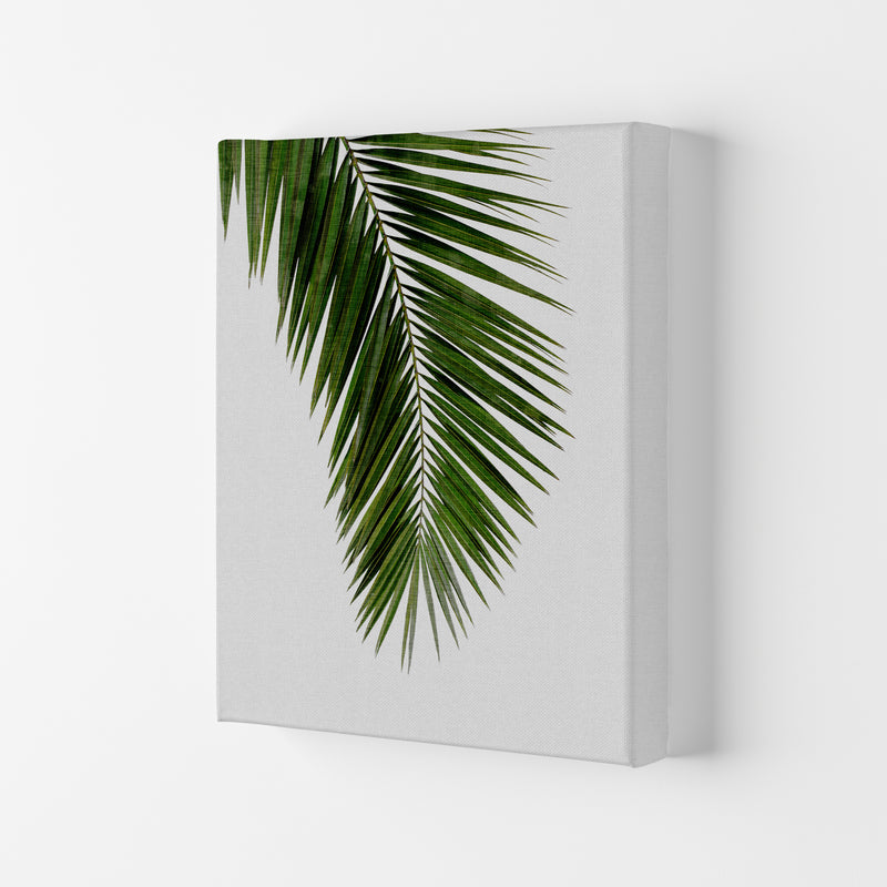Palm Leaf I Print By Orara Studio, Framed Botanical & Nature Art Print Canvas