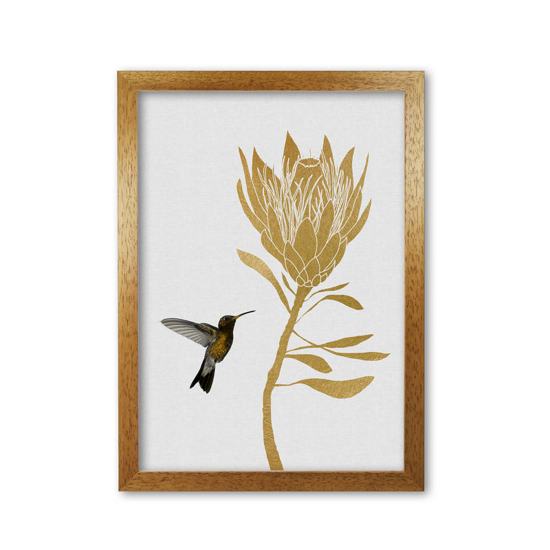 Hummingbird & Flower I Print By Orara Studio Oak Grain