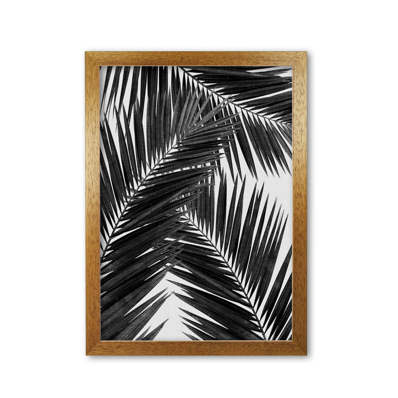 Palm Leaf Black & White III Print By Orara Studio Oak Grain