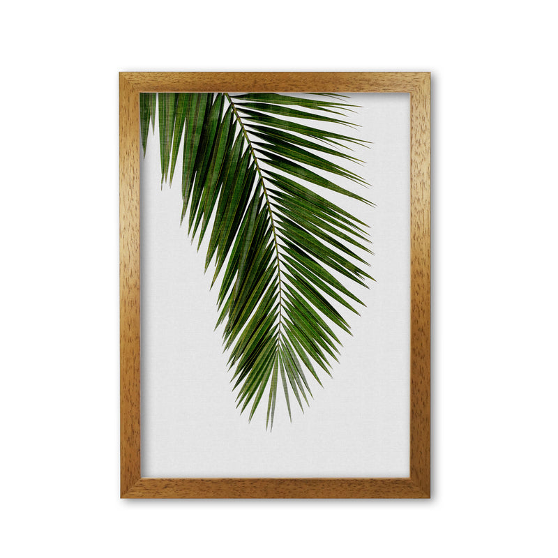 Palm Leaf I Print By Orara Studio, Framed Botanical & Nature Art Print Oak Grain