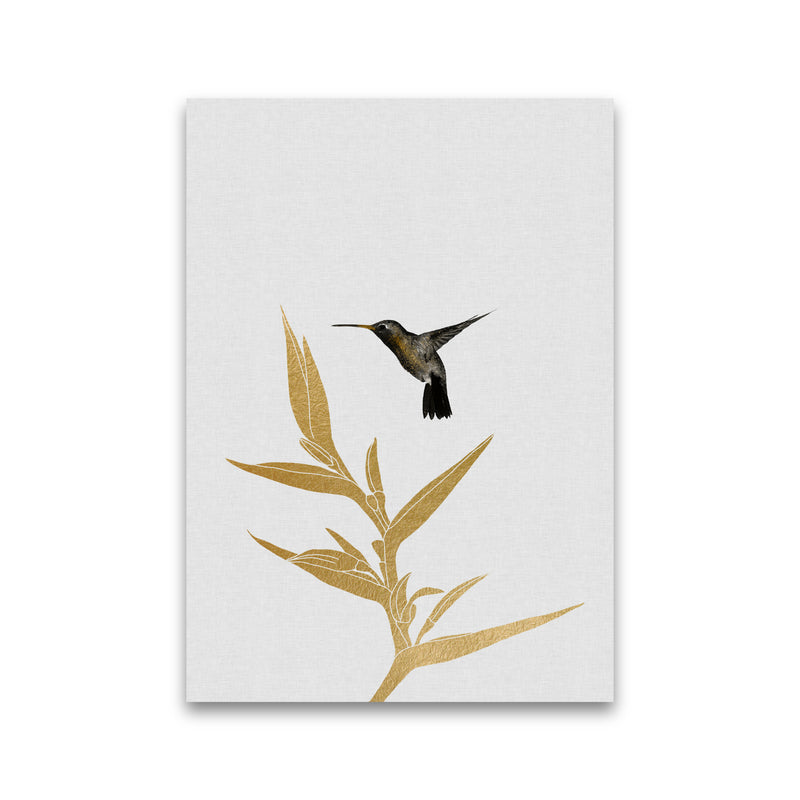 Hummingbird & Flower II Print By Orara Studio Print Only