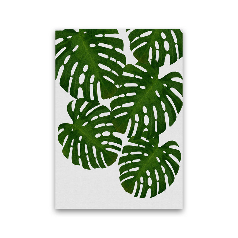 Monstera Leaf I Print By Orara Studio, Framed Botanical & Nature Art Print Print Only
