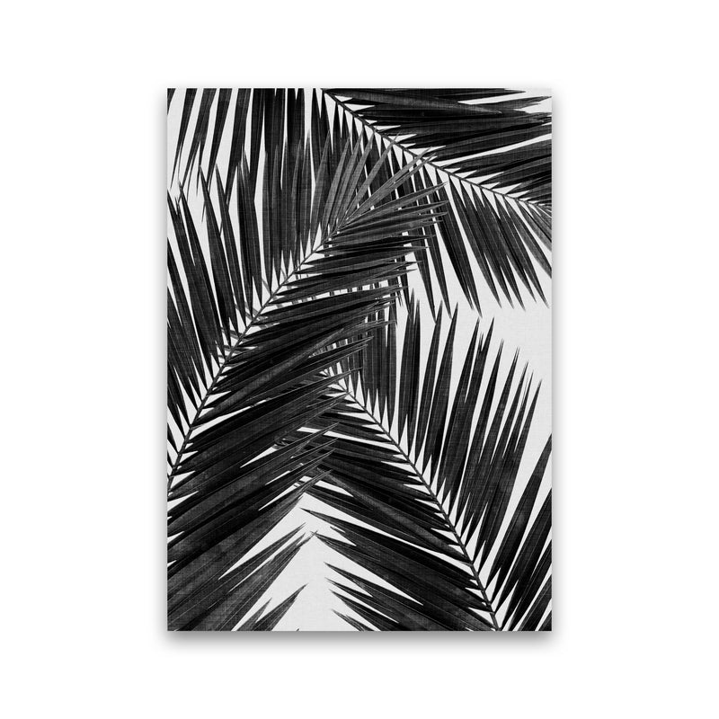 Palm Leaf Black & White III Print By Orara Studio Print Only