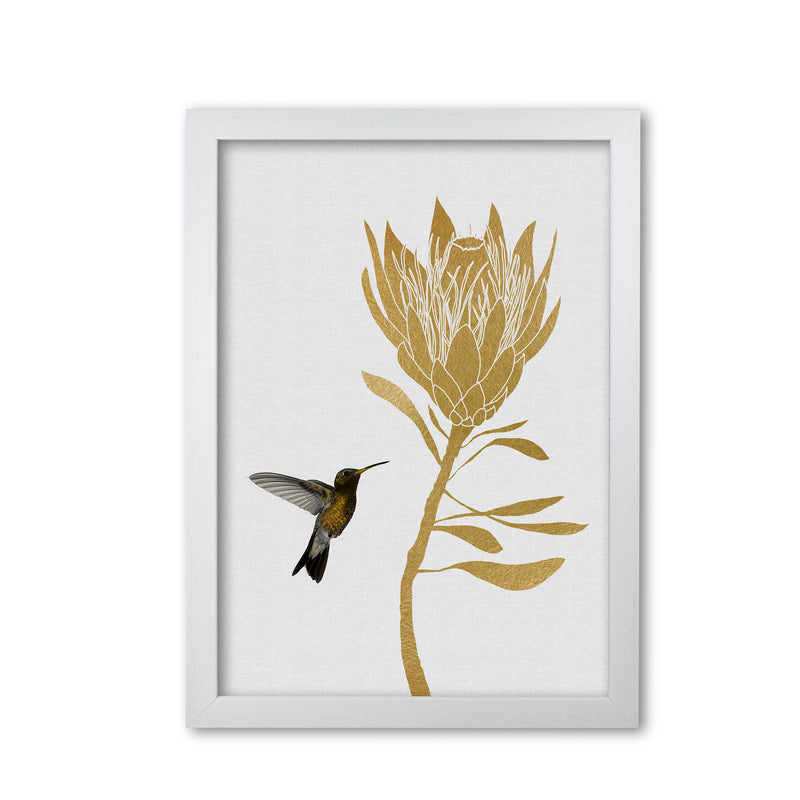 Hummingbird & Flower I Print By Orara Studio White Grain