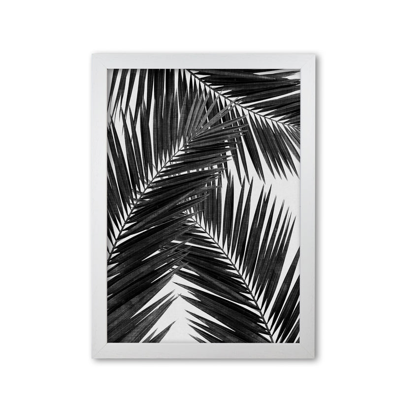 Palm Leaf Black & White III Print By Orara Studio White Grain