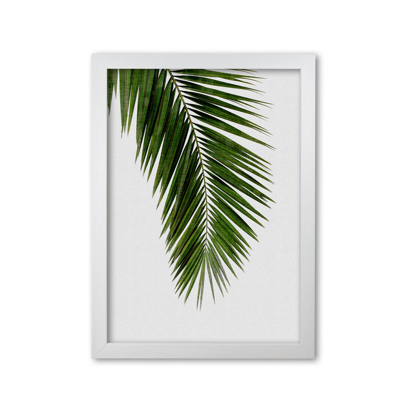 Palm Leaf I Print By Orara Studio, Framed Botanical & Nature Art Print White Grain