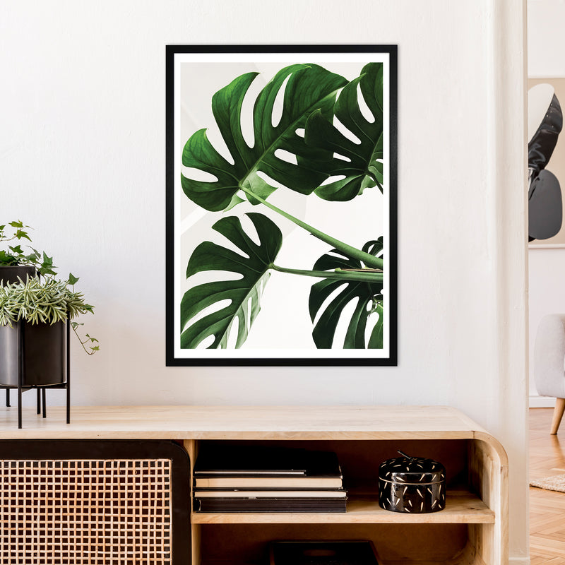 Monstera Leaf  Art Print by Pixy Paper A1 White Frame