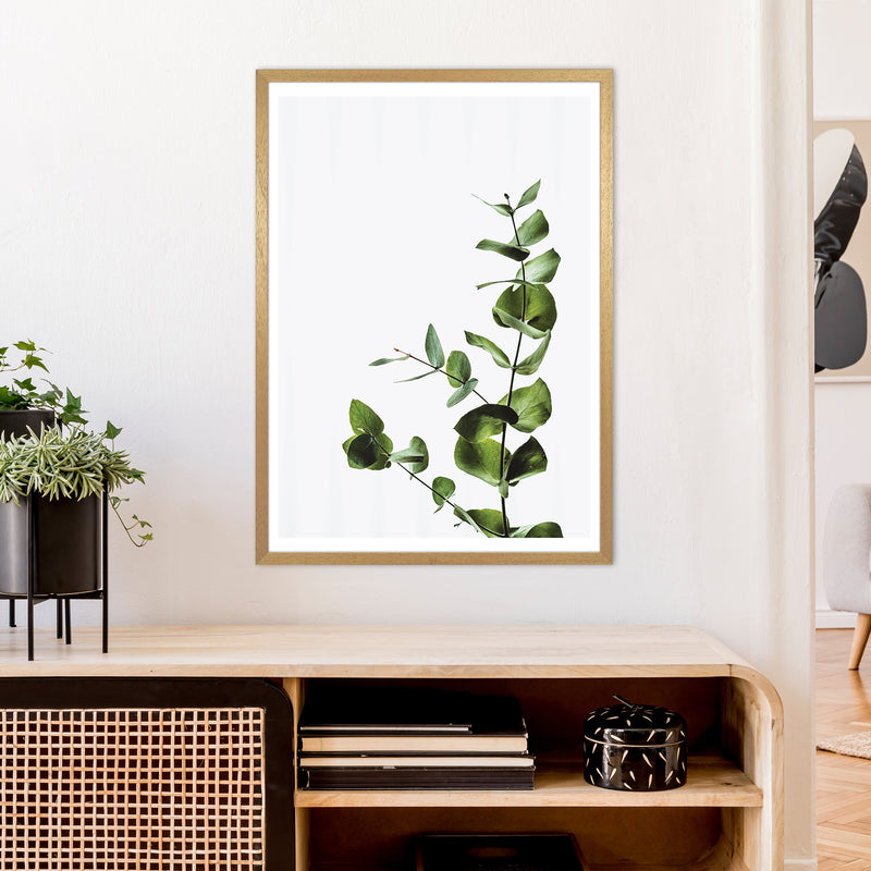 Elegant Green Plant  Art Print by Pixy Paper A1 Print Only