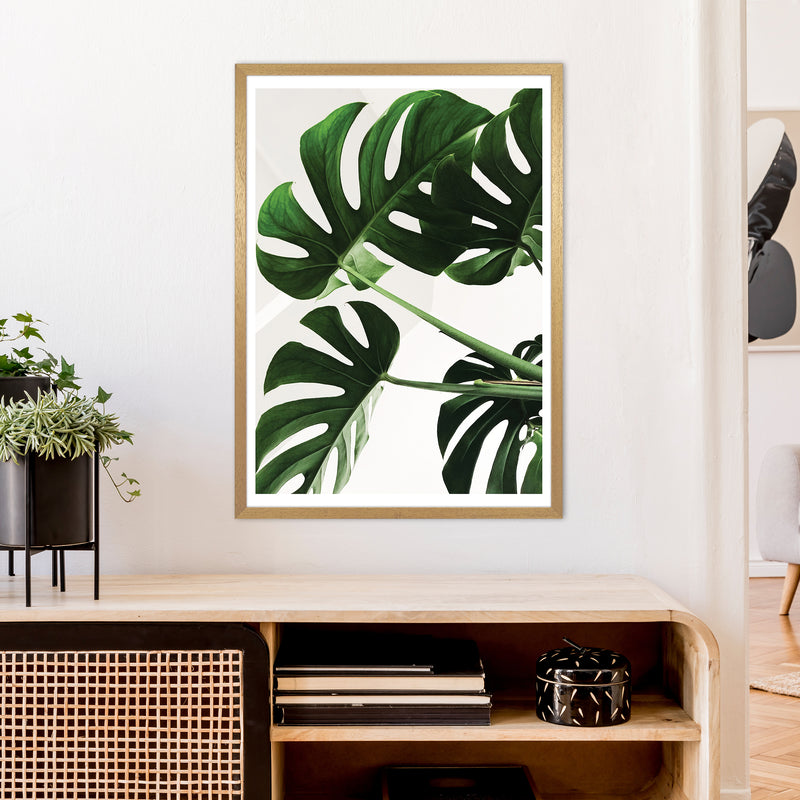 Monstera Leaf  Art Print by Pixy Paper A1 Print Only