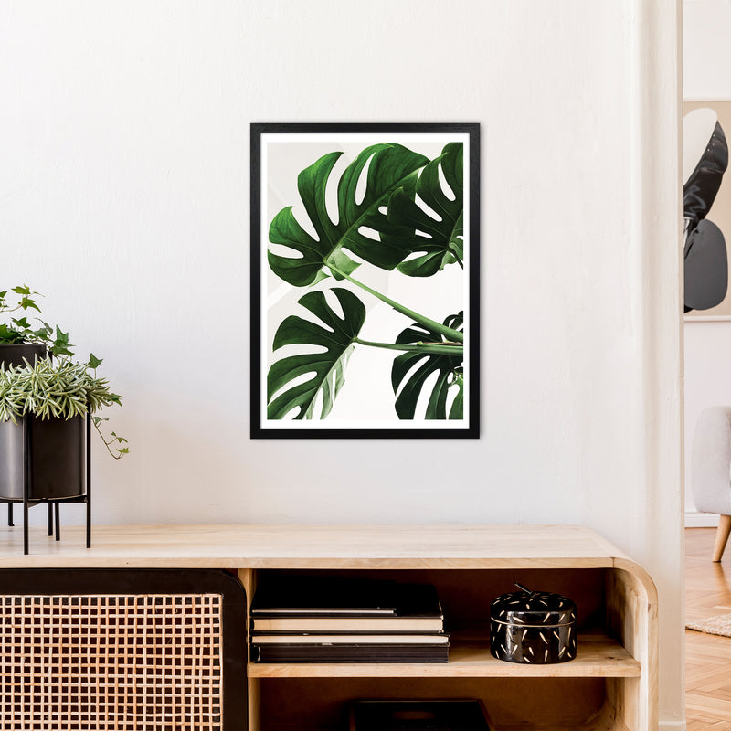Monstera Leaf  Art Print by Pixy Paper A2 White Frame