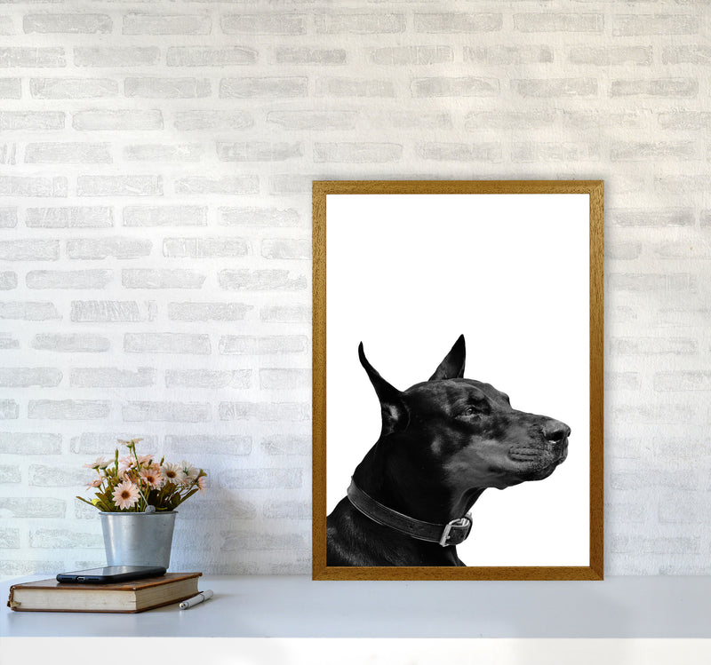 Black And White Dog Modern Print Animal Art Print A2 Print Only