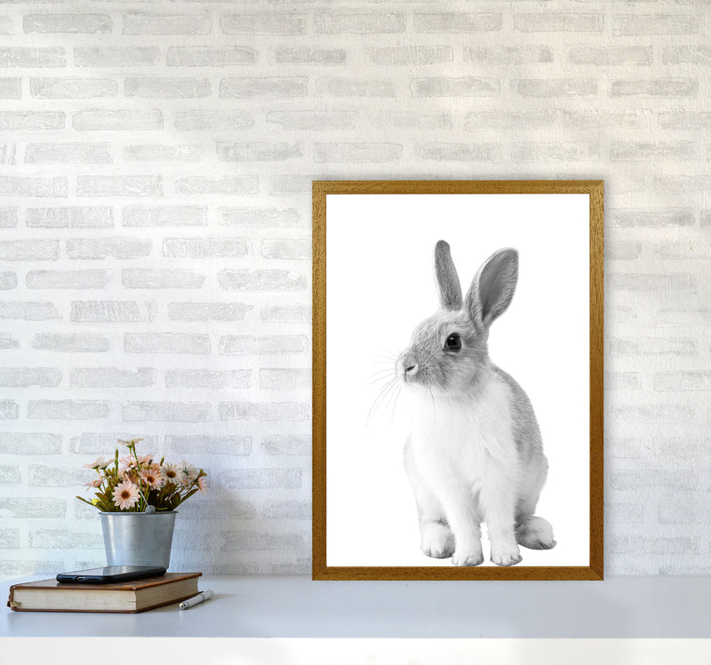 Black And White Bunny Modern Print Animal Art Print A2 Print Only